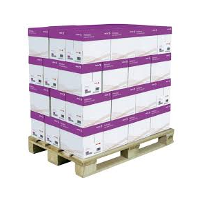 Xerox Performer Multifunction paper 80g A4 (500)